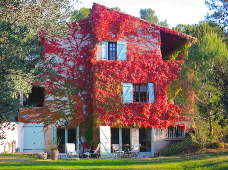 Gîte Plomidi au milieu des pins et des vignes