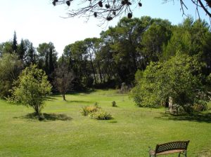 Un bout du jardin de la propriété