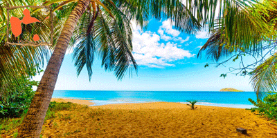 Locations de Vacances à La Guadeloupe direct des propriétaires