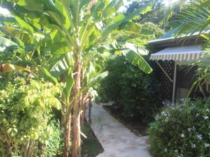 location vacances Guadeloupe