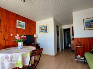 entrée dans le séjour, côté Nord. Coin détente avec un lit d une place, 2 fauteuils, tv, dvd ,wifi.