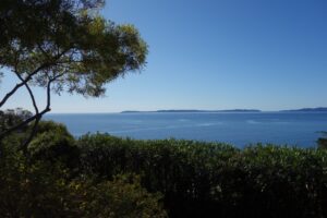 Vue sur la baie du Lavandou à partir du terrain commun 
