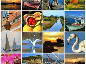 un échantillon de HYERES