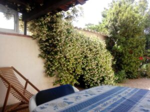 GRANDE TERRASSE A L OMBRE OU AU SOLEIL, privative et cloturée pour que votre Toutou soit en sécurité. petit portillon pour l accès direct au grand jardin.