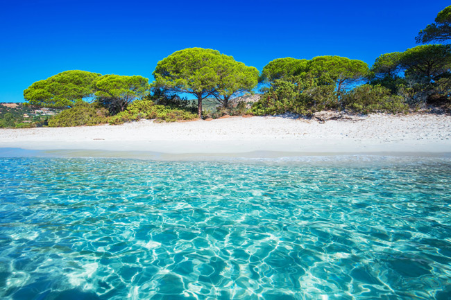 Plage-de-Palombaggia-Corse Plage de Palombaggia - Sable fin et eau cristalline - Corse