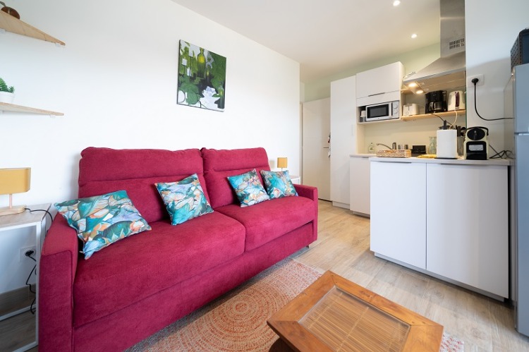 salon et coin cuisine