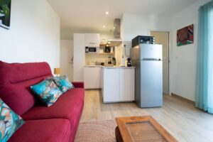 salon et coin cuisine