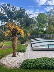 Jardin cote piscine