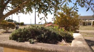 vue terrasse avec parvis piétonnier face appartement