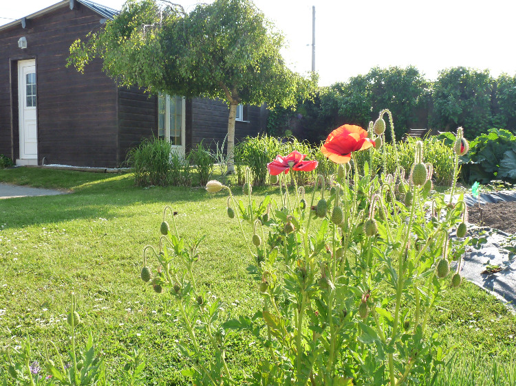 petit gîte pour 2 personnes au calme