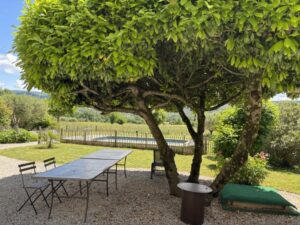 Sous les lauriers parasols