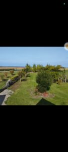 Jardin face aux prés salés et à la mer