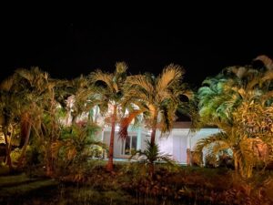 Villa piscine et jardin tropical