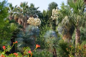 jardin exotique de 4000m2