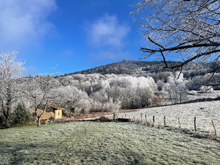 Vue côté Monts du Forez