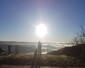 La vue devant le gîte