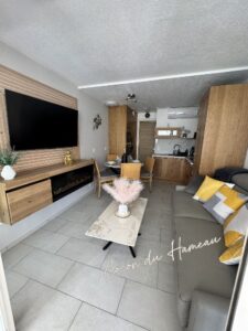 Pièce de vie