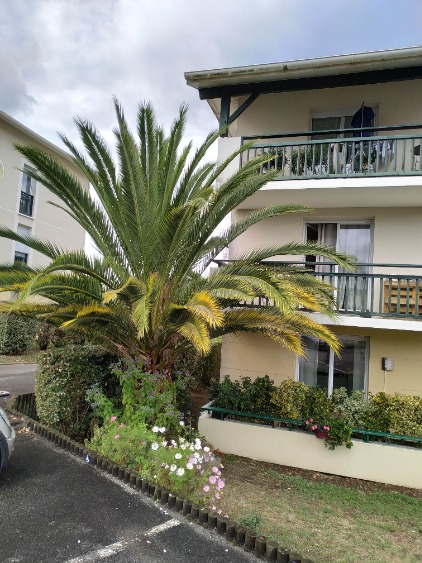 extérieur résidence