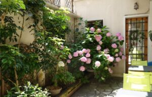 Dans la cour fleurie pour un moment de détente