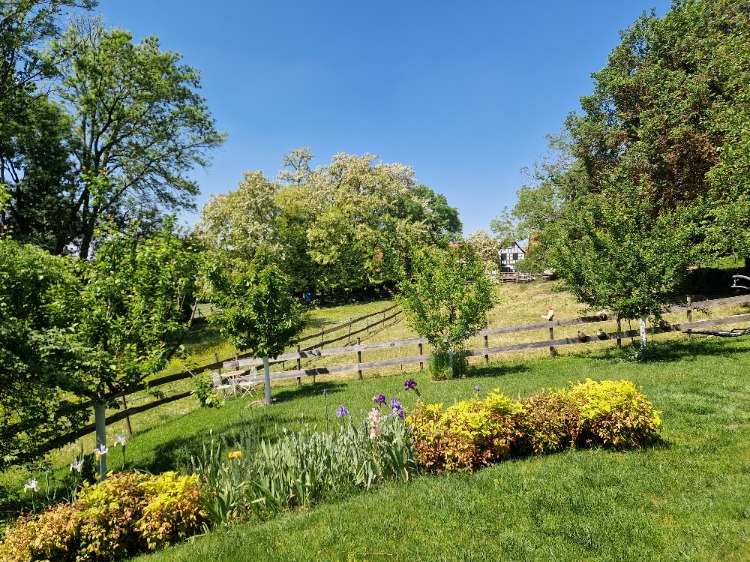 Vue depuis le gite
