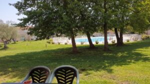 VUE SUR LA PISCINE