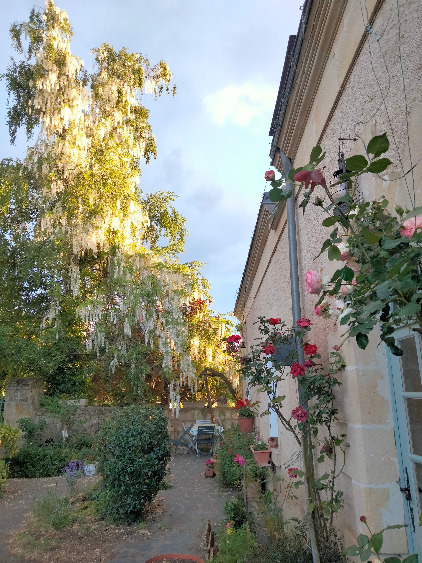 Clos St Georges