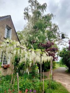 Clos St Georges