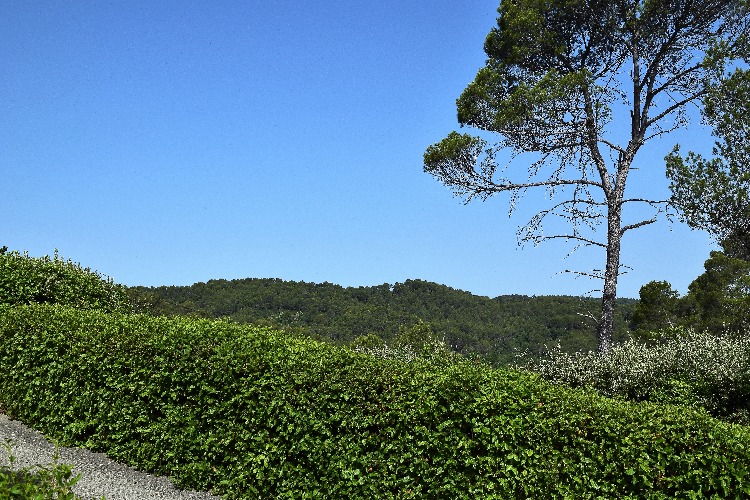 vue de la terrasse