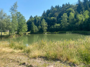 Etang