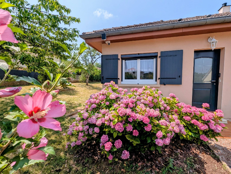 Les hortensias emblématiques de notre Villa Hortense de Nassau