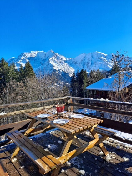 Vue sur le Mont Blanc depuis la terrasse.
