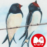 Hirondelle